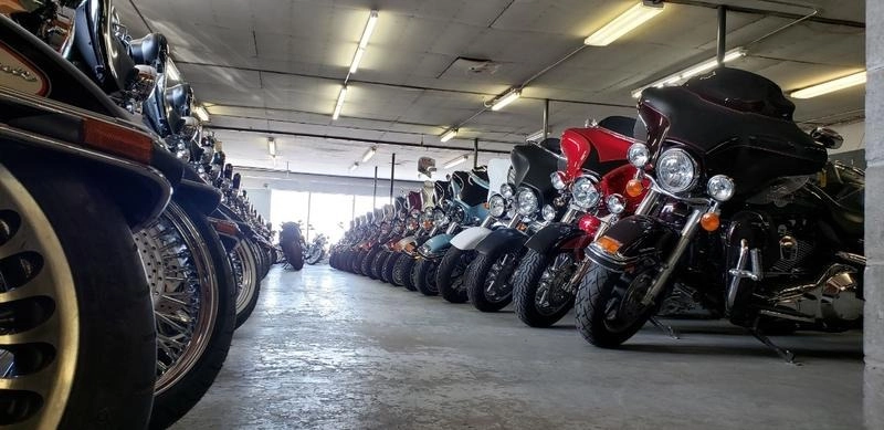 You are currently viewing They Came From Across The Border