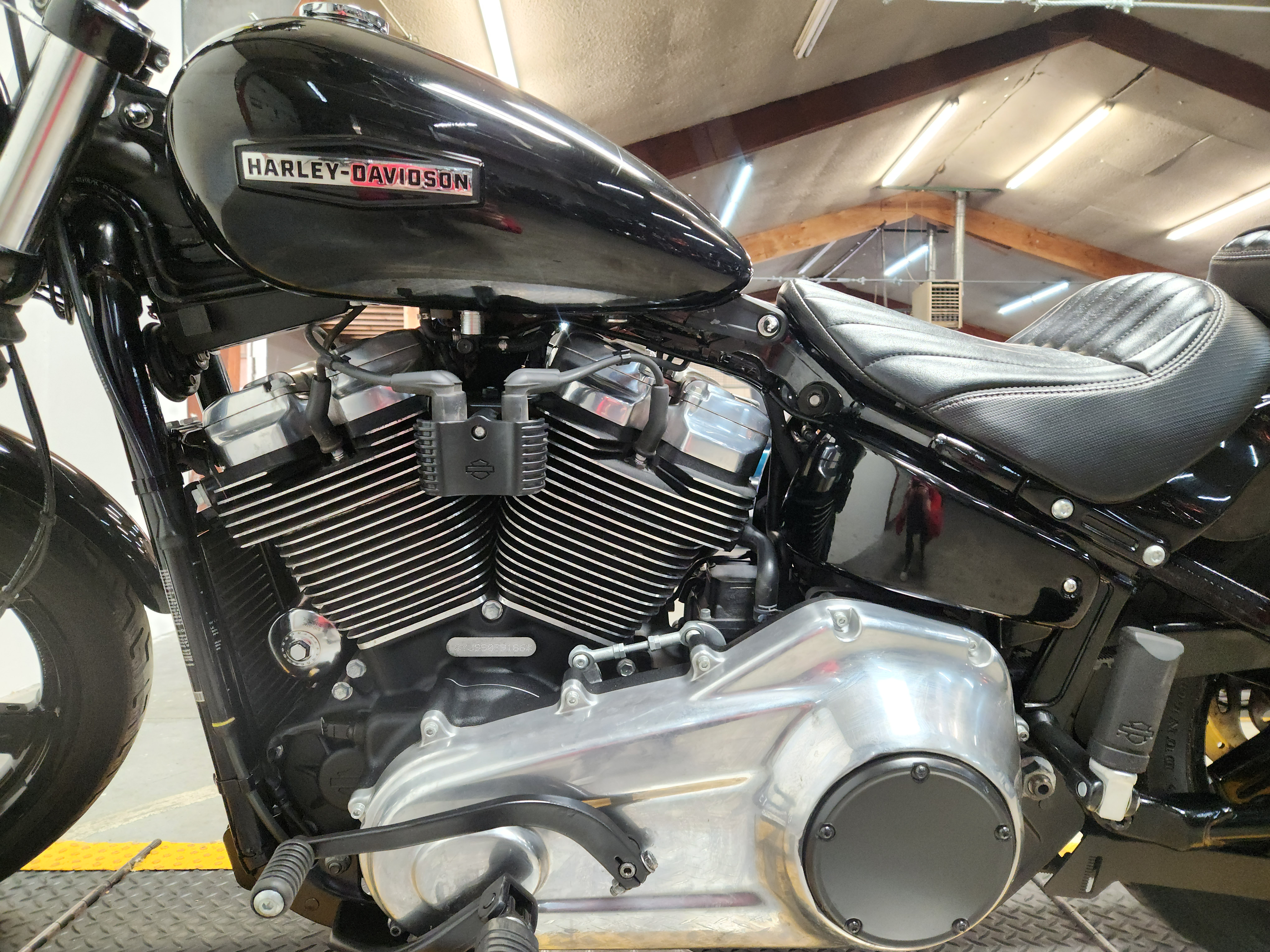 2025 Harley-Davidson® Street Bob® Motorcycle