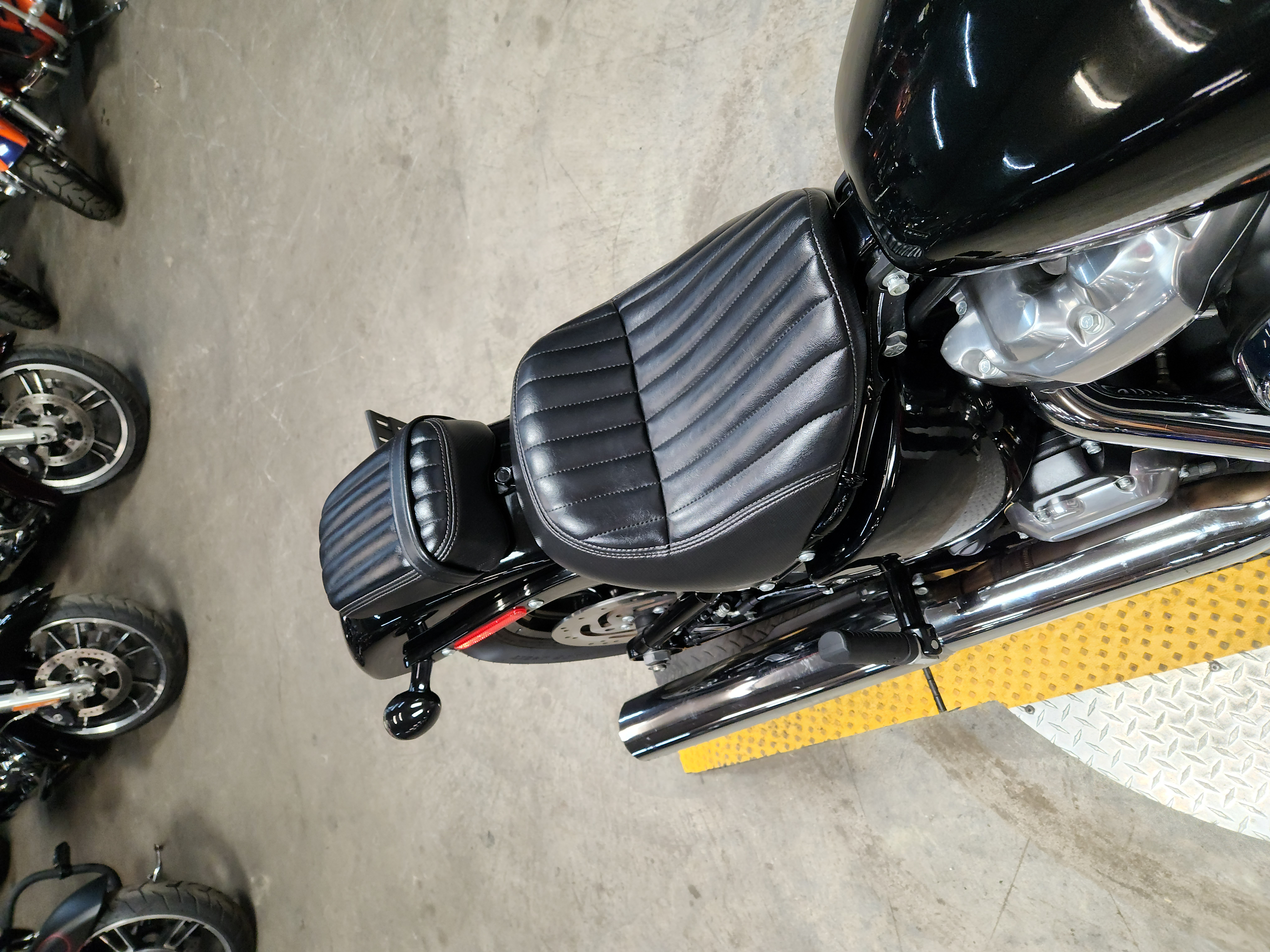 2025 Harley-Davidson® Street Bob® Motorcycle
