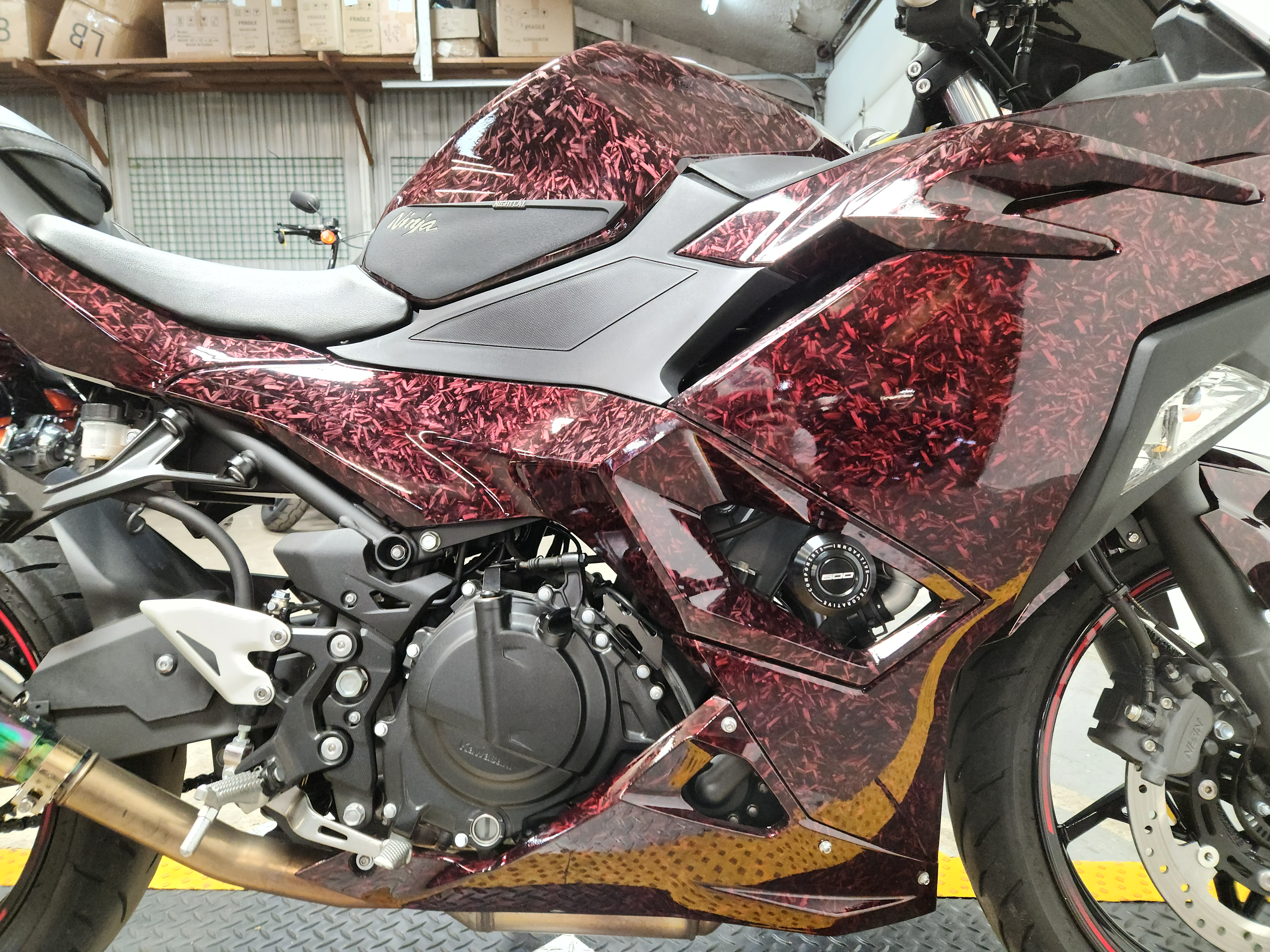 2025 Kawasaki Ninja 500 ABS Motorcycle