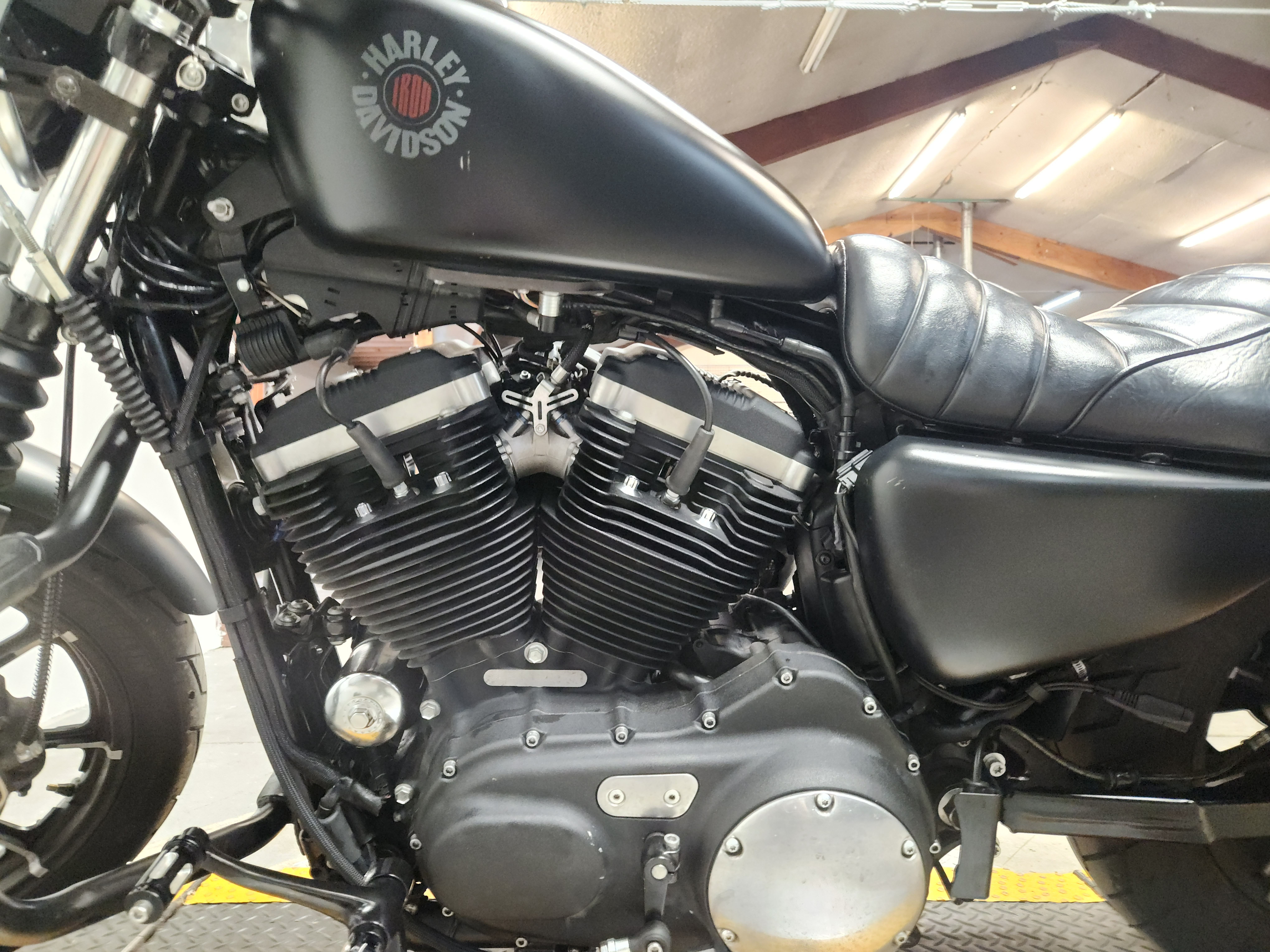 2019 Harley-Davidson® Sportster® Iron 883™ Motorcycle